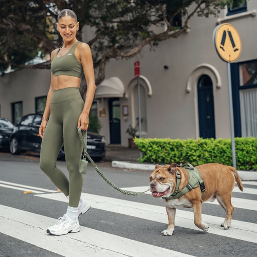 Zarpella™ Pack Paseo 3 en 1 — Arnés, Collar y Correa Táctica para Perros