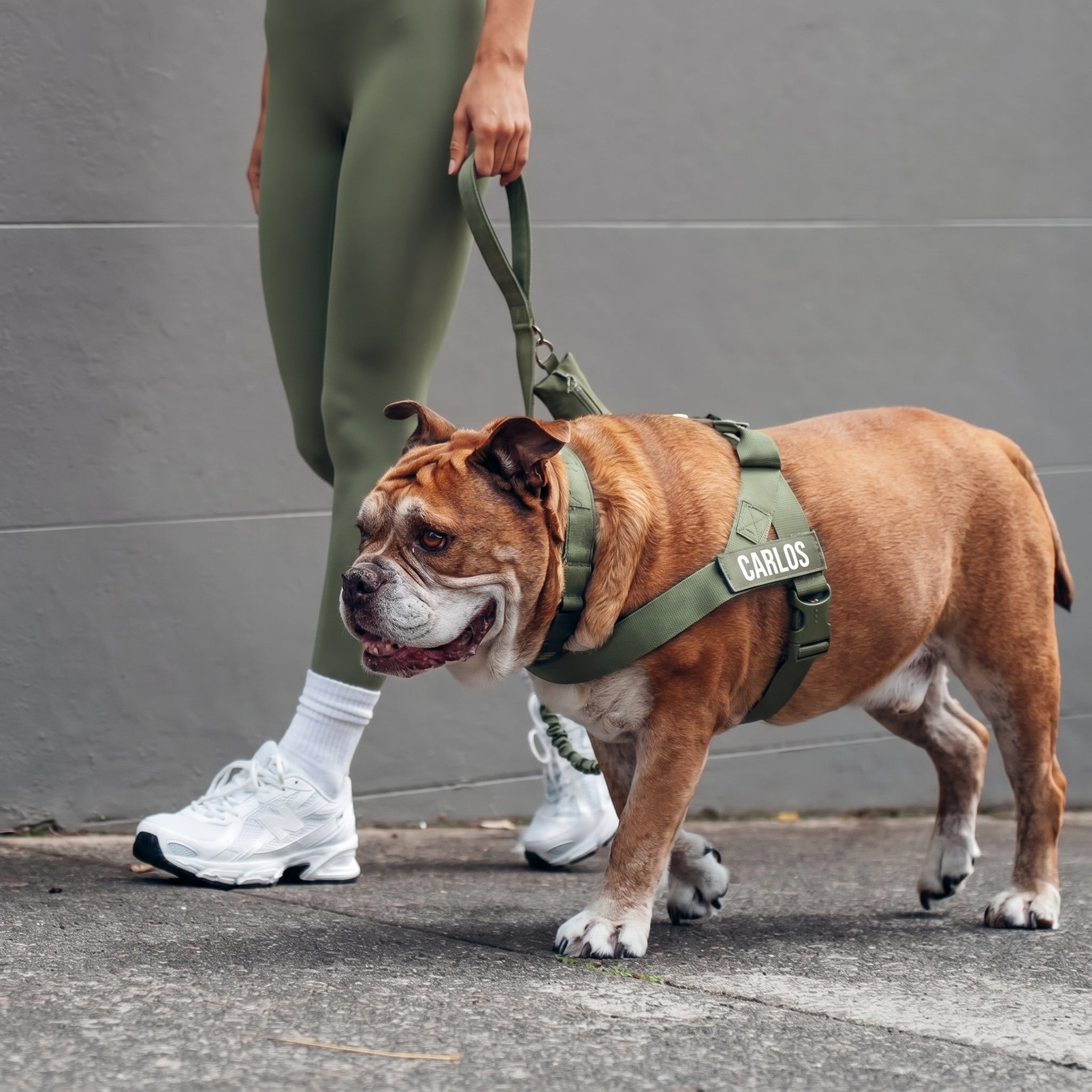 Zarpella™ Pack Paseo 3 en 1 — Arnés, Collar y Correa Táctica para Perros